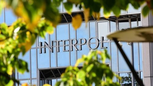 Interpol v největší akci zabavil drogy za 106 miliard a zatkl 14 tisíc lidí
